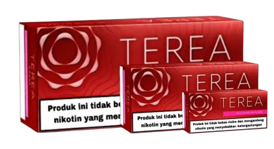 TEREA Sienna Indonesia Product Features
