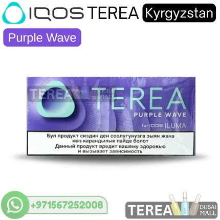 IQOS TEREA Purple Wave Kyrgyzstan in Dubai & UAE