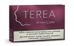 TEREA Starling Pearl Uzbekistan Variant Banner Photo