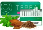 TEREA Green Zing Uzbekistan in Dubai Banner Photo
