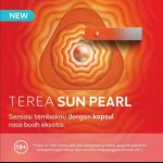 TEREA Sun Pearl Indonesia variant iluma sticks