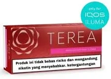 TEREA Sienna Indonesia for IQOS Iluma device