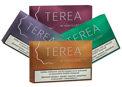 TEREA Uzbekistan Key point