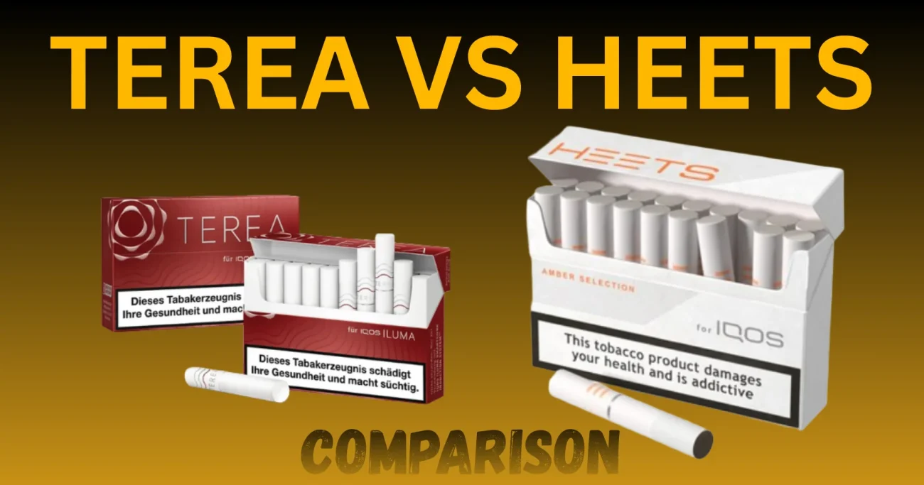 Blog TEREA Vs HEETs