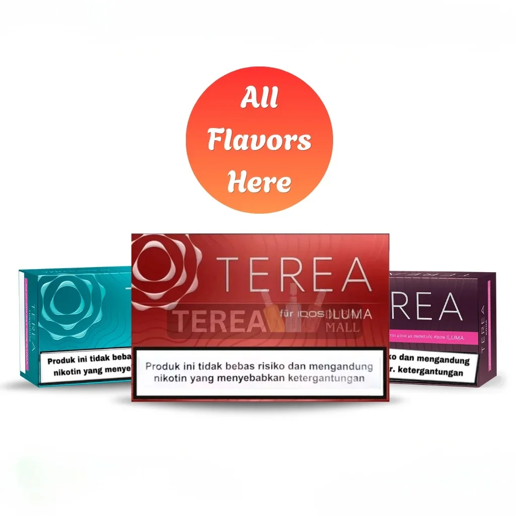 TEREA Indonesia all Flavor Category Section
