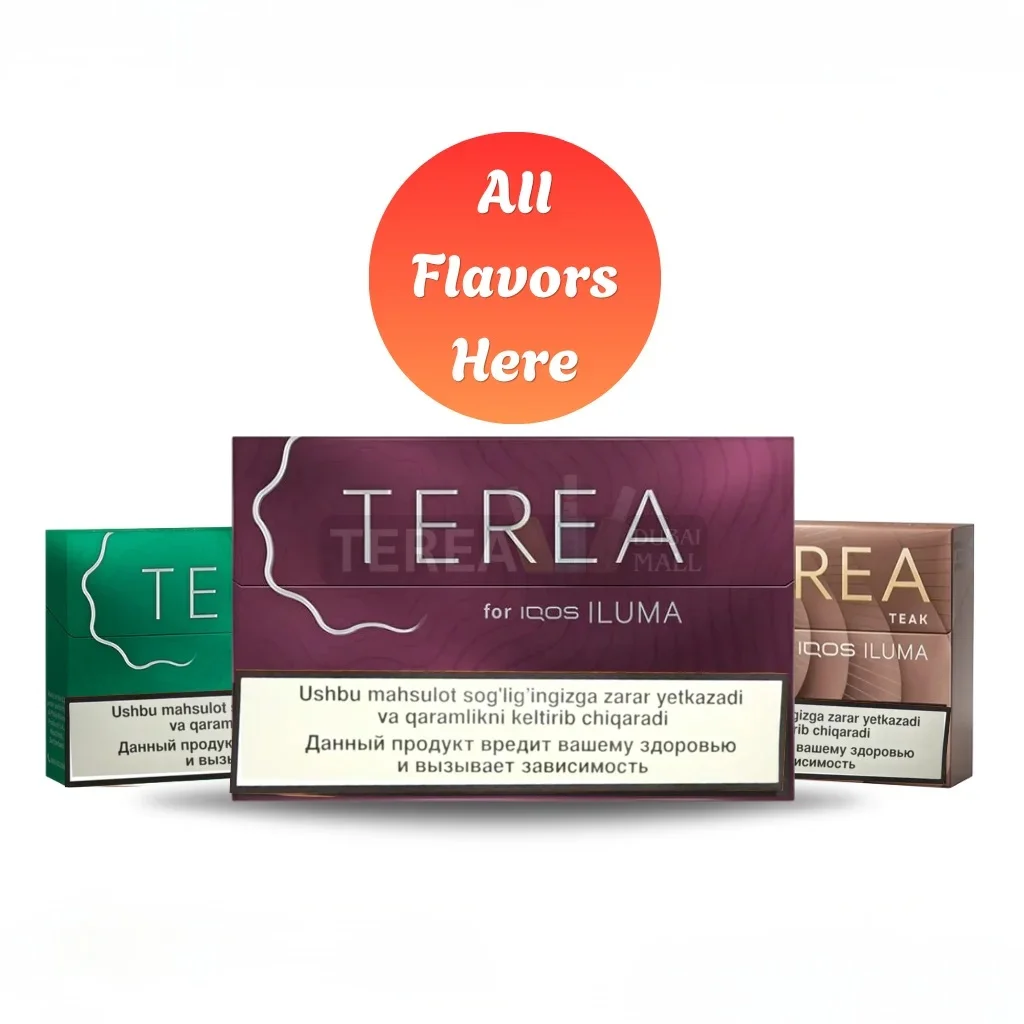 TEREA Uzbekistan all Flavor Category Section