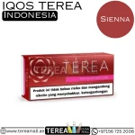 IQOS TEREA Sienna Indonesia in Dubai